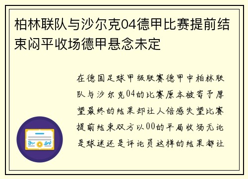 柏林联队与沙尔克04德甲比赛提前结束闷平收场德甲悬念未定