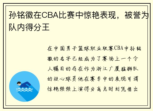 孙铭徽在CBA比赛中惊艳表现，被誉为队内得分王